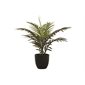 Artificial Plant - Palm