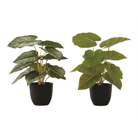 Artificial Plant - Epipremnum