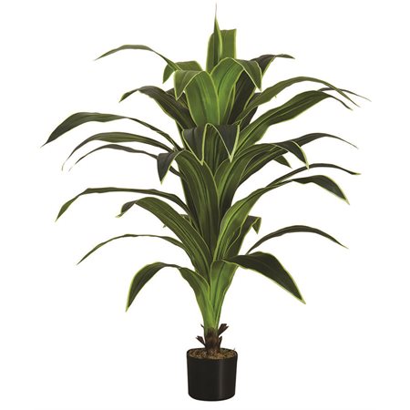 PLANTE ART.DRACAENA INTERIEUR