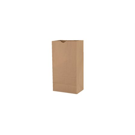 Kraft Paper Bag
