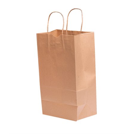 Twisted Paper Handle Bags