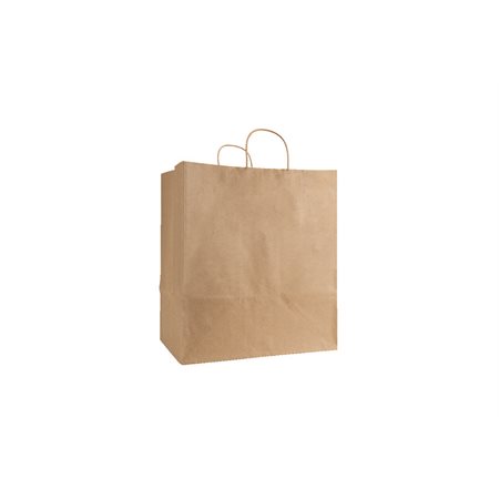 Twisted Paper Handle Bags