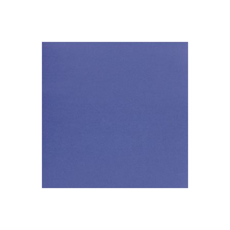 BRISTOL BOARD 2PLY BL 1 SHEET (48)