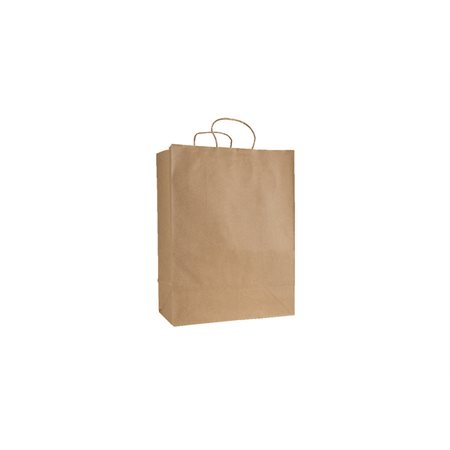 Twisted Paper Handle Bags