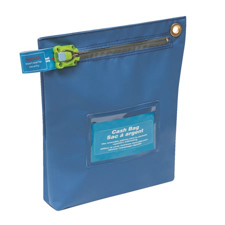 Securisac Security Bag
