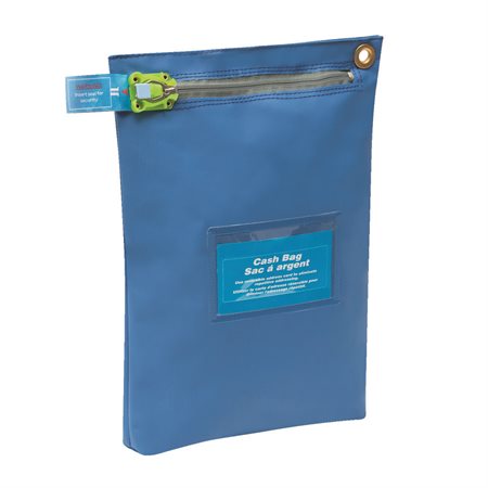 Securisac Security Bag