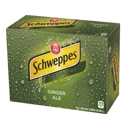 Schweppes Ginger Ale Soft Drink