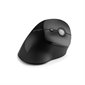 GRNICAL MOUSE WIRELESS BK