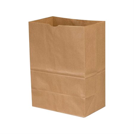 Paper Bags