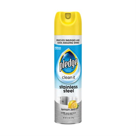 Stainless Steel Cleaner