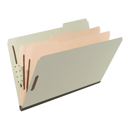 Classification Folder Legal