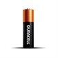 CopperTop® Power Boost™ Batteries "AA"