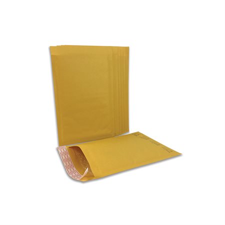 Enveloppes rembourrées #5