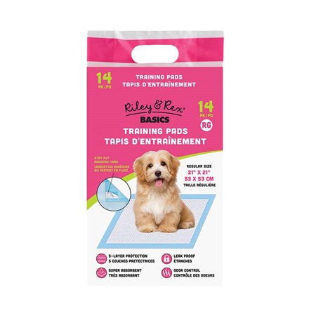 Tapis d’entraînement