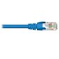 CABLE RÉSEAU CAT6 100 PIEDS BLEU