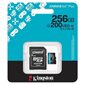 CARTE MÉMOIRE MICRO SD CANVAS KINGSTON 256GB