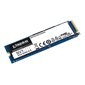 DISQUE NV1 250 GB NVME