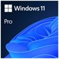 LOGICIEL MICROSOFT WINDOWS 11 PROFESSIONEL