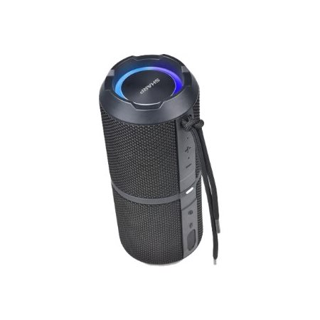 HAUT-PARLEUR SHARP BT290 CRYSTAL CLEAR 32W