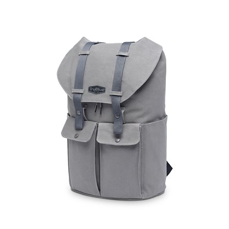 The pioneer 15 "portable backpack grey