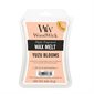 WoodWick wax melts